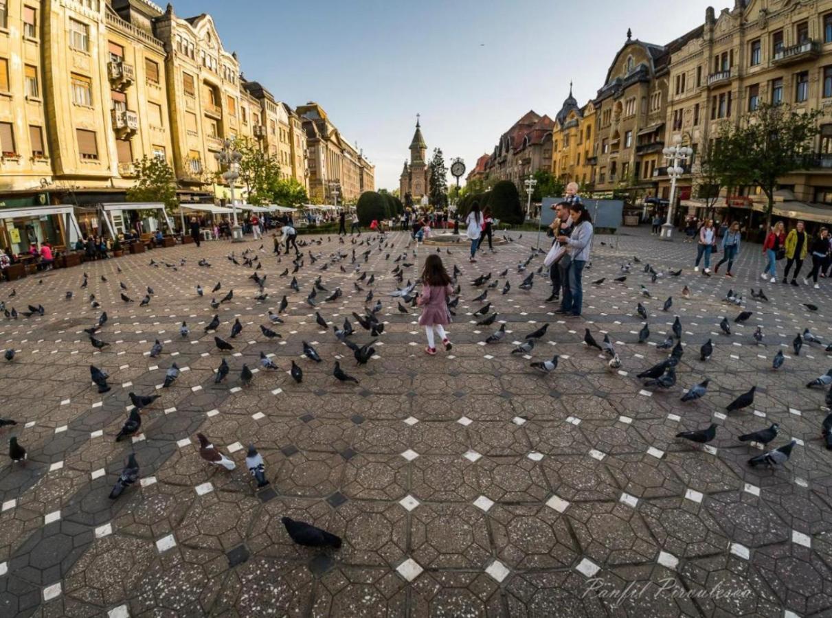 Appartamento Premium Timisoara Esterno foto